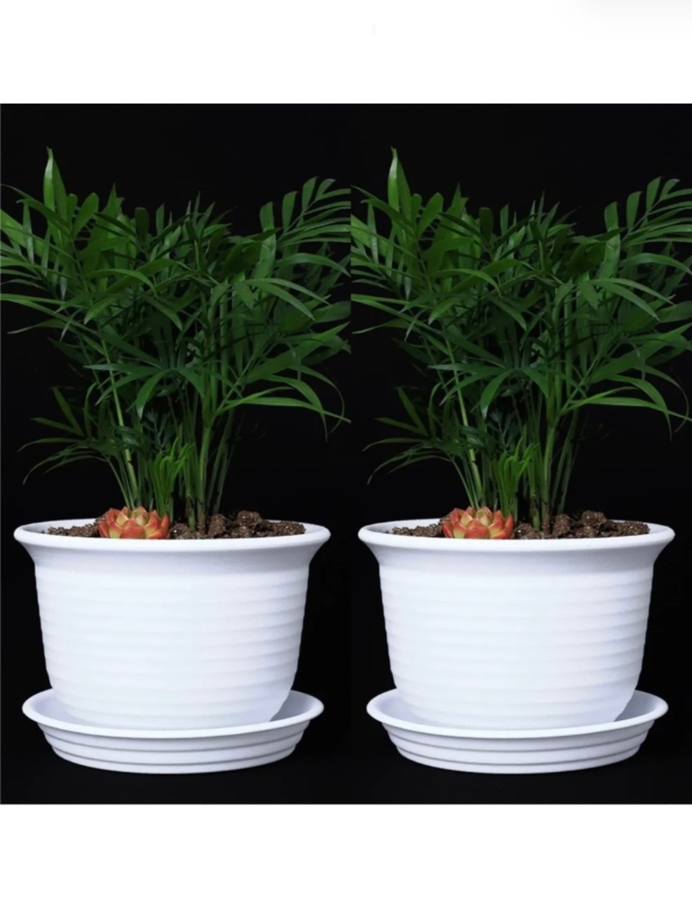 White 6” Plastic Round Drainage Plant Pot Saucer Tray - SET OF 2